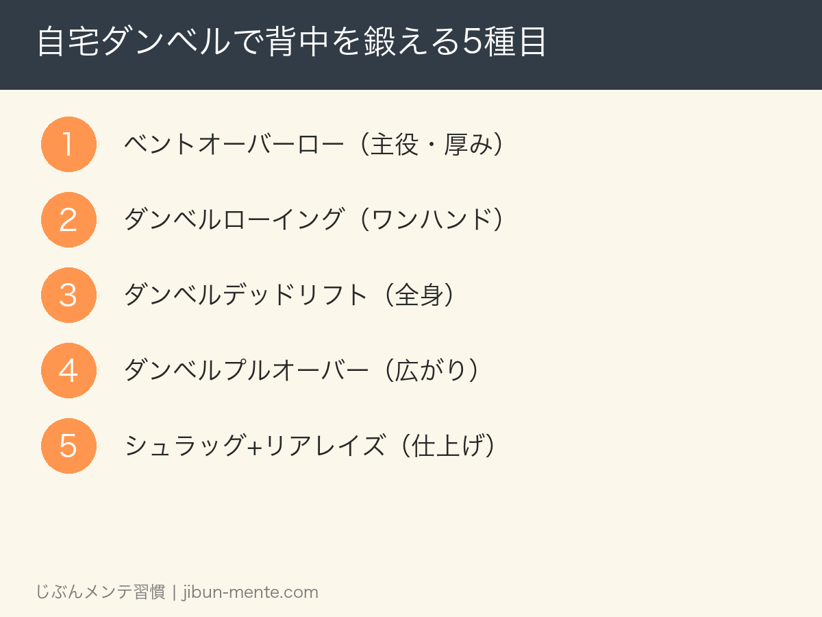 自宅ダンベルで鍛える背中5種目