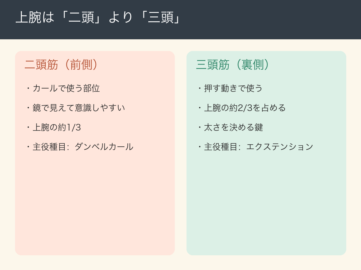 上腕は二頭より三頭