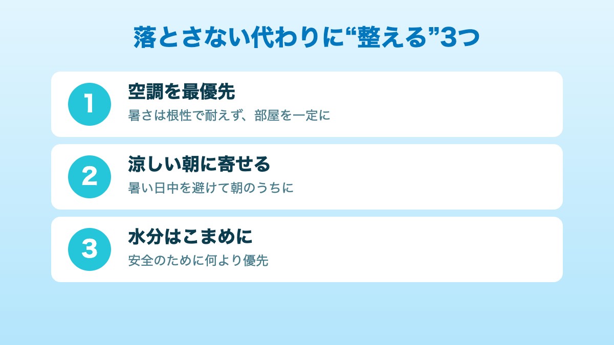夏でも筋トレを落とさず続けるために整えるもの：空調最優先・涼しい朝に寄せる・水分をこまめに
