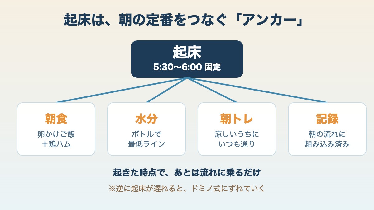 起床がアンカーになって朝の定番が連なる図解
